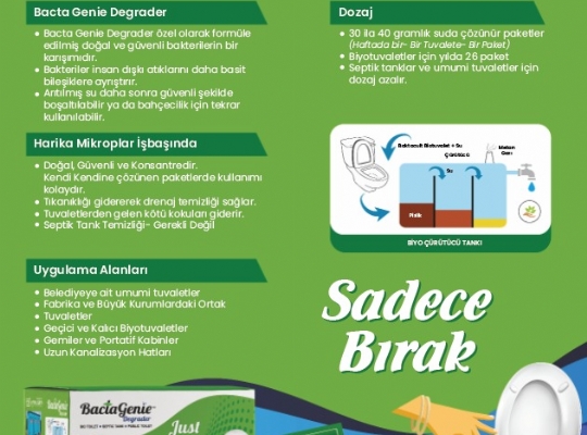 Broşürler